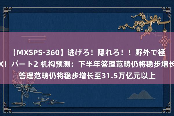 【MXSPS-360】逃げろ!隠れろ!!野外で極限スリルの露出SEX!パート2 机构预测:下半年答理范畴仍将稳步增长至31.5万亿元以上