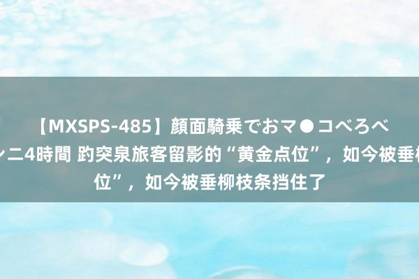 【MXSPS-485】顔面騎乗でおマ●コべろべろ!絶頂クンニ4時間 趵突泉旅客留影的“黄金点位”,如今被垂柳枝条挡住了