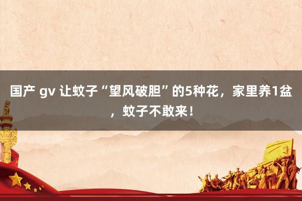 国产 gv 让蚊子“望风破胆”的5种花,家里养1盆,蚊子不敢来!