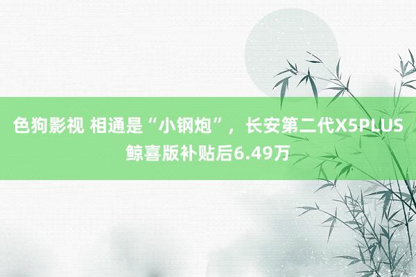 色狗影视 相通是“小钢炮”，长安第二代X5PLUS鲸喜版补贴后6.49万