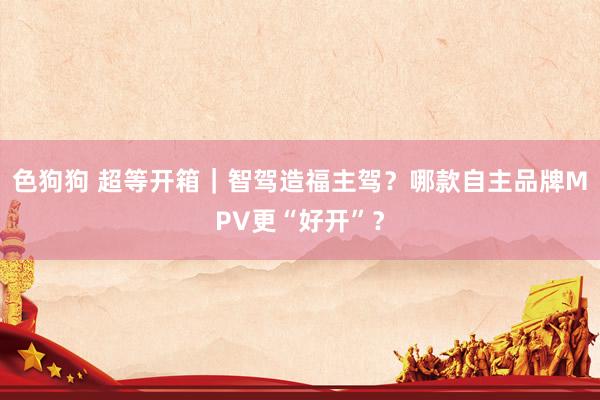 色狗狗 超等开箱|智驾造福主驾?哪款自主品牌MPV更“好开”?