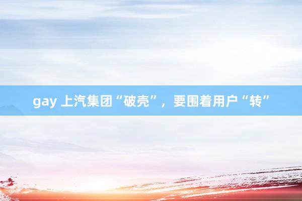 gay 上汽集团“破壳”,要围着用户“转”