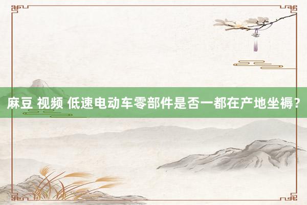麻豆 视频 低速电动车零部件是否一都在产地坐褥?