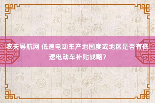 农夫导航网 低速电动车产地国度或地区是否有低速电动车补贴战略?
