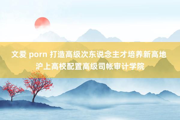 文爱 porn 打造高级次东说念主才培养新高地 沪上高校配置高级司帐审计学院