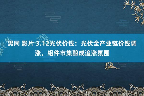 男同 影片 3.12光伏价钱：光伏全产业链价钱调涨，组件市集酿成追涨氛围
