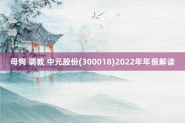 母狗 调教 中元股份(300018)2022年年报解读