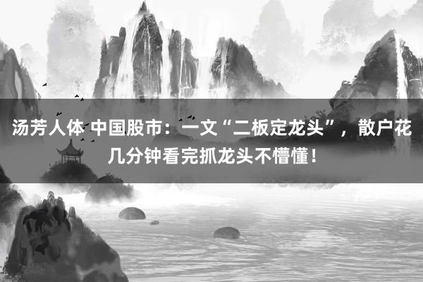 汤芳人体 中国股市:一文“二板定龙头”,散户花几分钟看完抓龙头不懵懂!