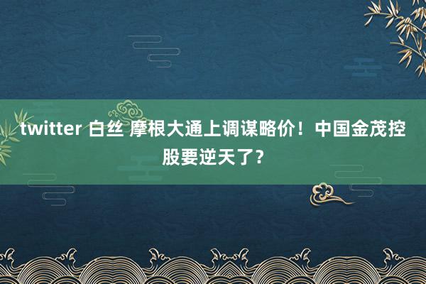 twitter 白丝 摩根大通上调谋略价!中国金茂控股要逆天了?
