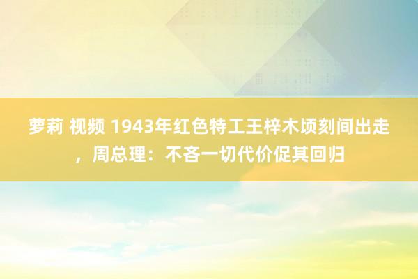 萝莉 视频 1943年红色特工王梓木顷刻间出走,周总理:不吝一切代价促其回归