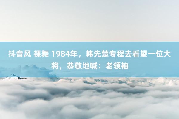 抖音风 裸舞 1984年,韩先楚专程去看望一位大将,恭敬地喊:老领袖