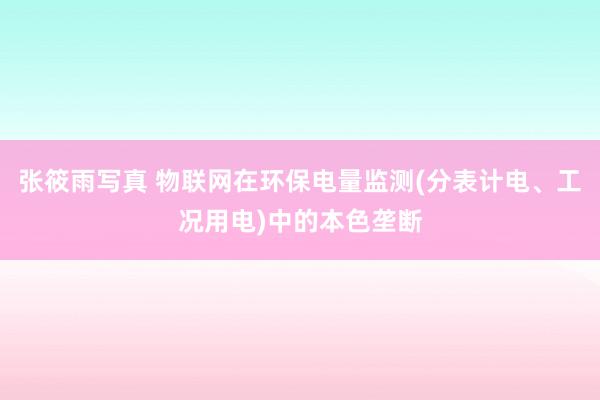 张筱雨写真 物联网在环保电量监测(分表计电、工况用电)中的本色垄断