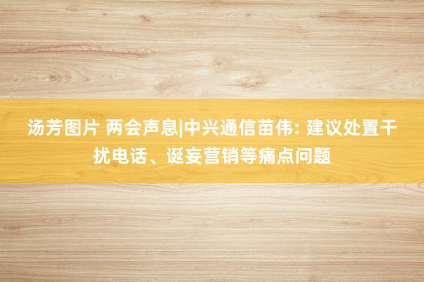 汤芳图片 两会声息|中兴通信苗伟: 建议处置干扰电话、诞妄营销等痛点问题