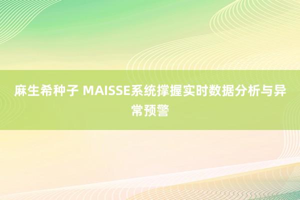 麻生希种子 MAISSE系统撑握实时数据分析与异常预警