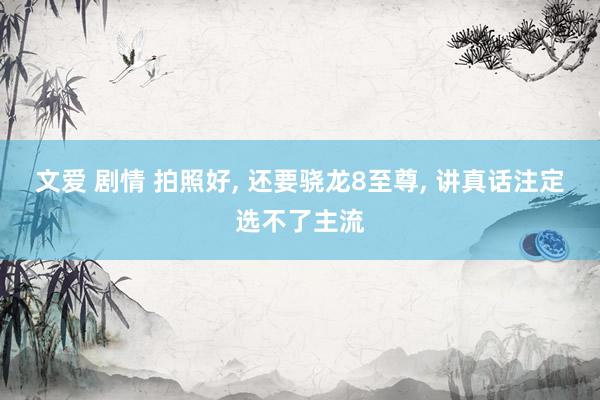 文爱 剧情 拍照好, 还要骁龙8至尊, 讲真话注定选不了主流