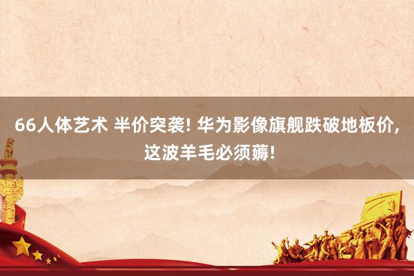 66人体艺术 半价突袭! 华为影像旗舰跌破地板价, 这波羊毛必须薅!