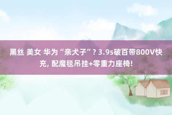 黑丝 美女 华为“亲犬子”? 3.9s破百带800V快充, 配魔毯吊挂+零重力座椅!