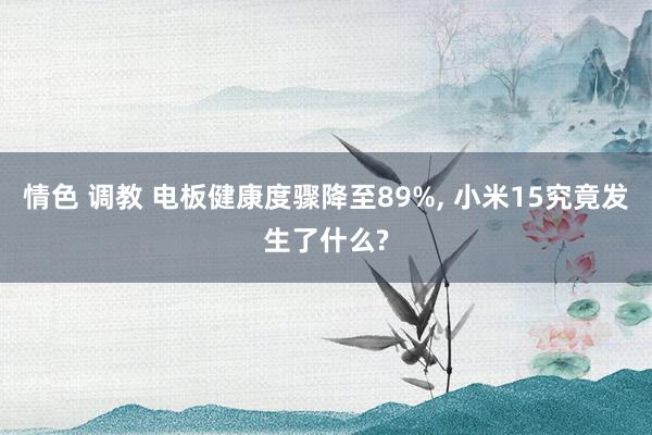 情色 调教 电板健康度骤降至89%, 小米15究竟发生了什么?