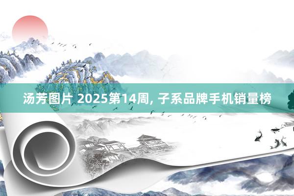 汤芳图片 2025第14周, 子系品牌手机销量榜