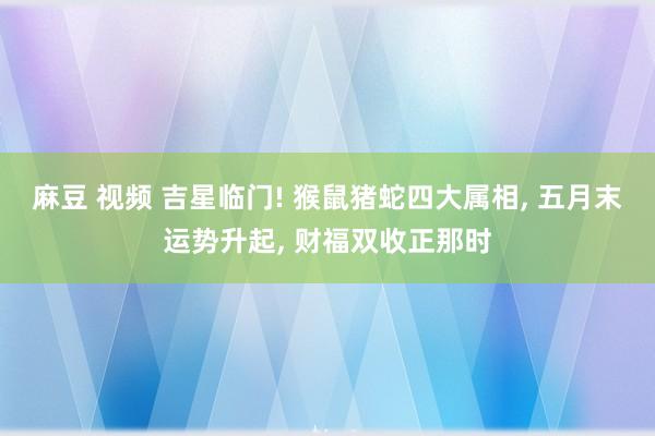 麻豆 视频 吉星临门! 猴鼠猪蛇四大属相, 五月末运势升起, 财福双收正那时