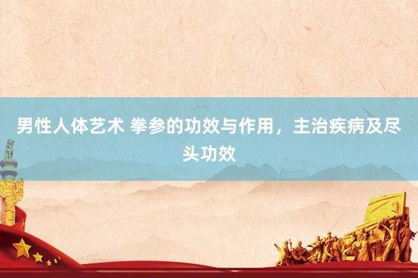 男性人体艺术 拳参的功效与作用，主治疾病及尽头功效