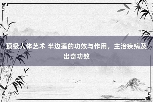 顶级人体艺术 半边莲的功效与作用，主治疾病及出奇功效