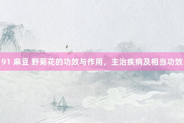 91 麻豆 野菊花的功效与作用，主治疾病及相当功效
