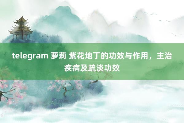 telegram 萝莉 紫花地丁的功效与作用，主治疾病及疏淡功效