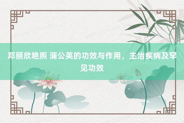 邓丽欣艳照 蒲公英的功效与作用，主治疾病及罕见功效