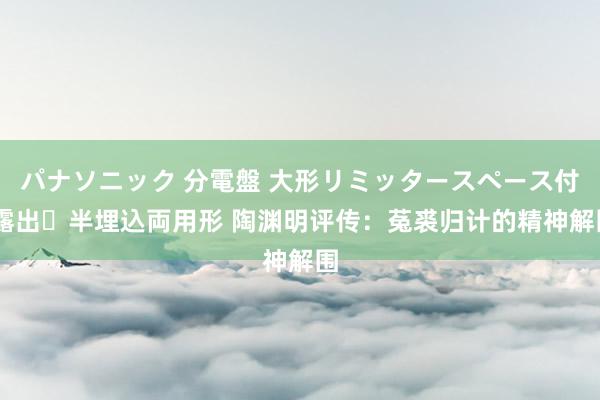 パナソニック 分電盤 大形リミッタースペース付 露出・半埋込両用形 陶渊明评传:菟裘归计的精神解围