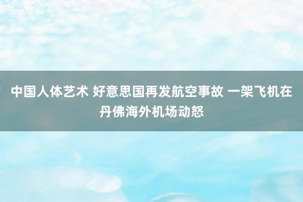 中国人体艺术 好意思国再发航空事故 一架飞机在丹佛海外机场动怒