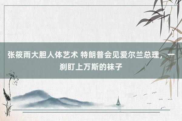 张筱雨大胆人体艺术 特朗普会见爱尔兰总理,一刹盯上万斯的袜子