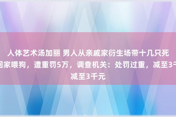人体艺术汤加丽 男人从亲戚家衍生场带十几只死鸡回家喂狗,遭重罚5万,调查机关:处罚过重,减至3千元