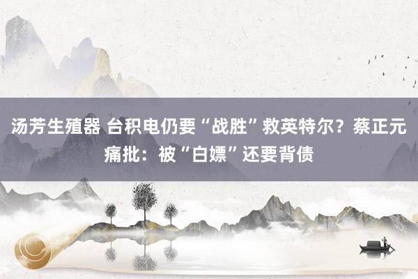 汤芳生殖器 台积电仍要“战胜”救英特尔?蔡正元痛批:被“白嫖”还要背债