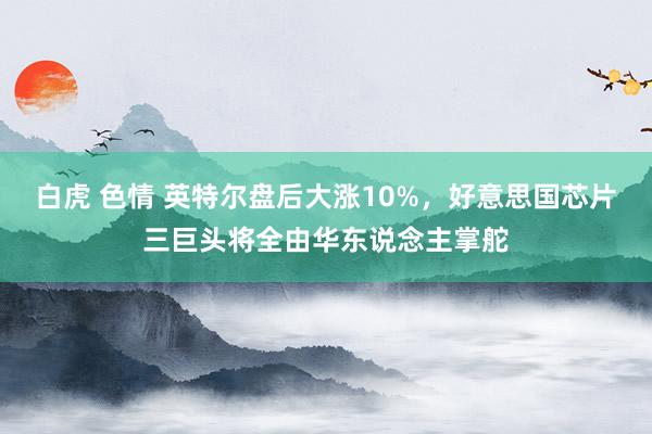 白虎 色情 英特尔盘后大涨10%,好意思国芯片三巨头将全由华东说念主掌舵